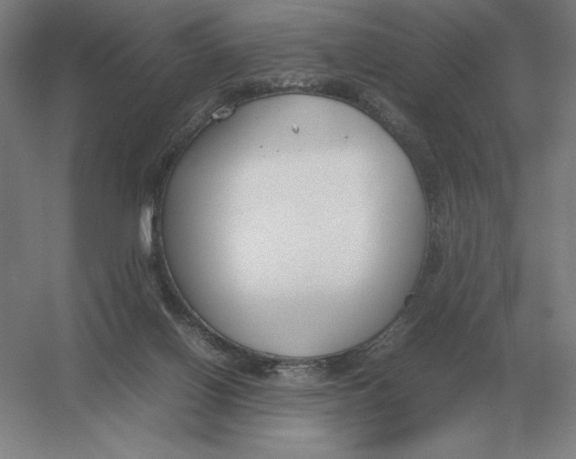 X0000054390070200508270045