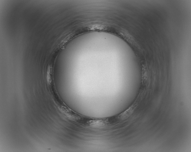 X0000054390074200508270045