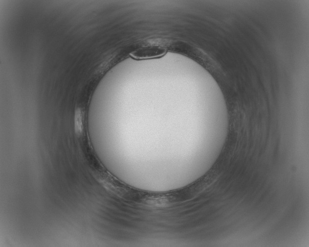 X0000054390075200508270045