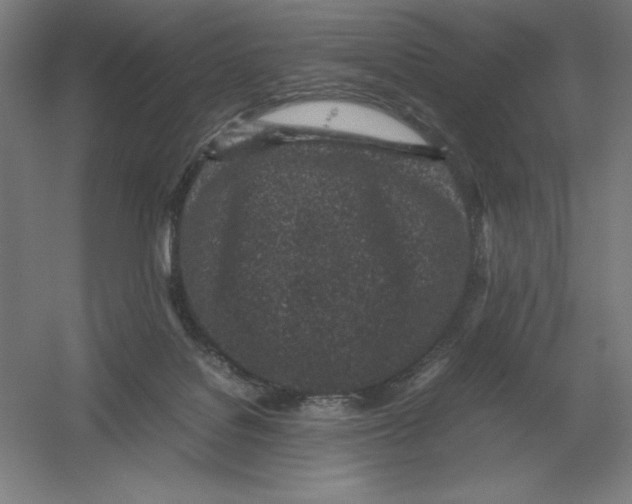 X0000054390076200508270045