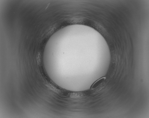 X0000054390077200508270045