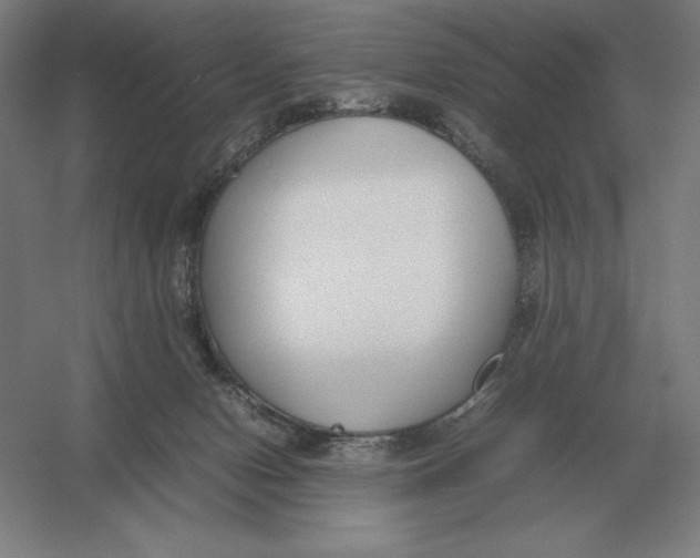 X0000054390078200508270045