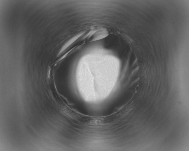 X0000054390080200508270045
