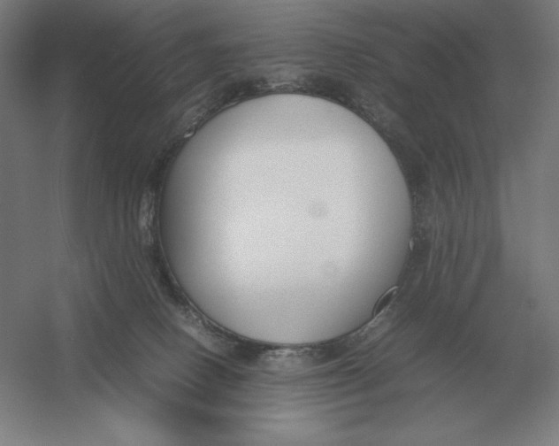 X0000054390082200508270045