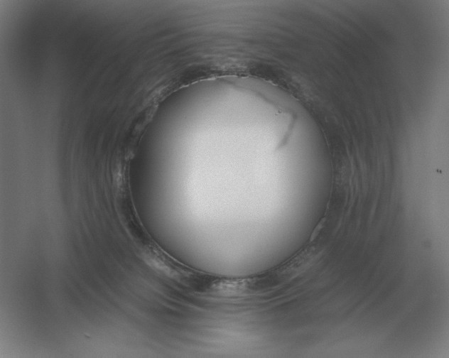 X0000054390084200508270045