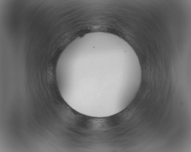 X0000054390085200508270045