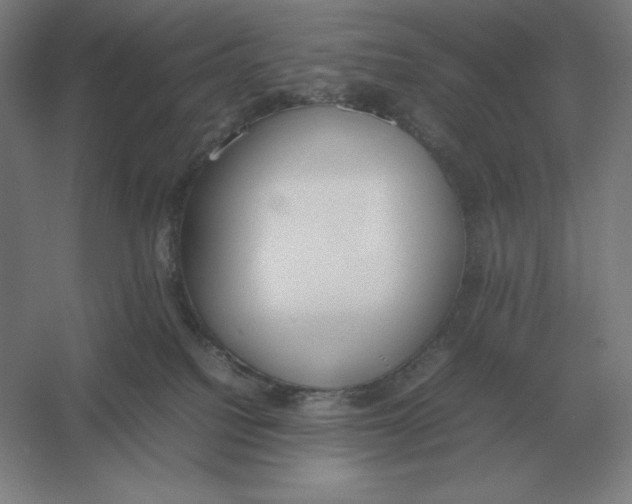 X0000054390088200508270045