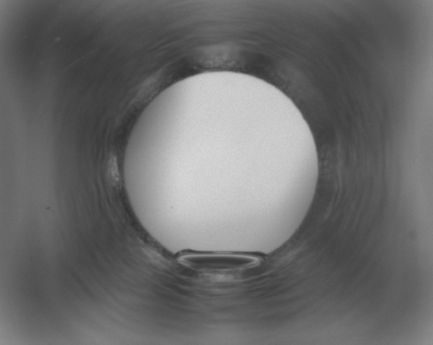 X0000054390089200508270045