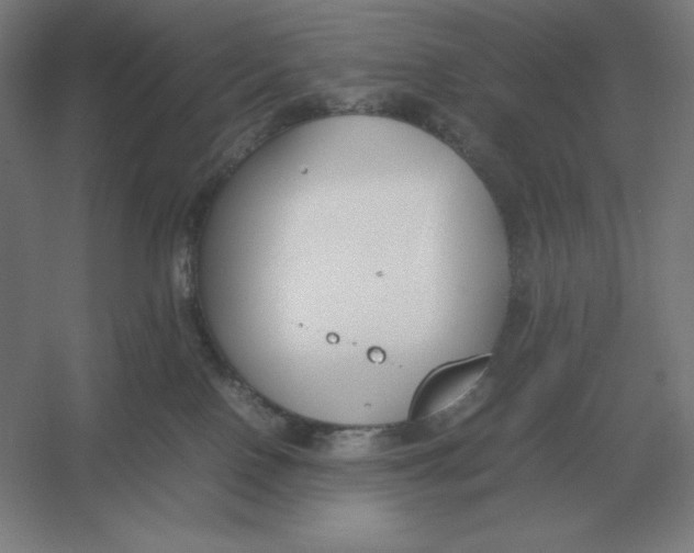 X0000054390090200508270045