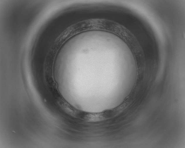 X0000054390093200508270045
