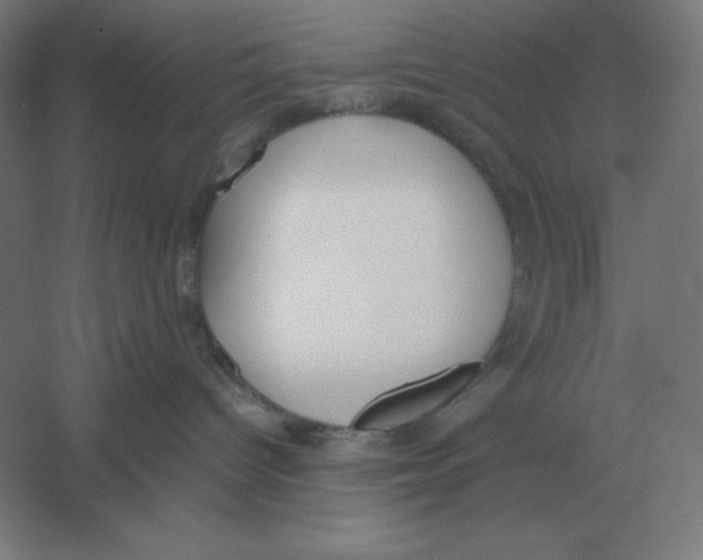 X0000054390096200508270045