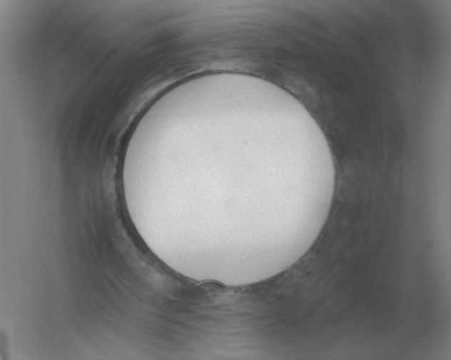 X0000054390098200508270044