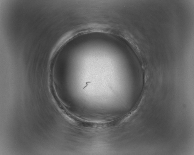 X0000054390101200508270044