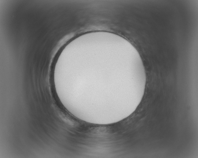 X0000054390104200508270044