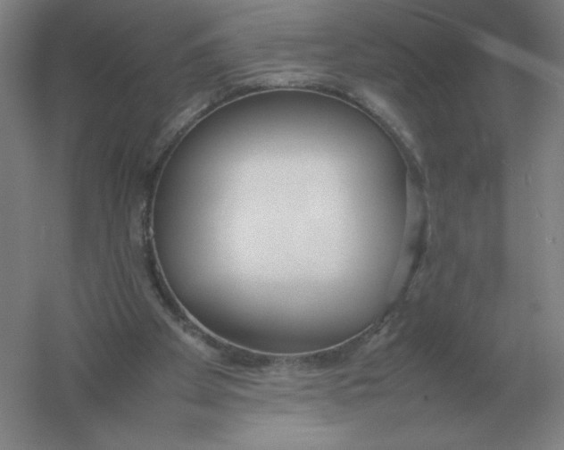 X0000054390105200508270044