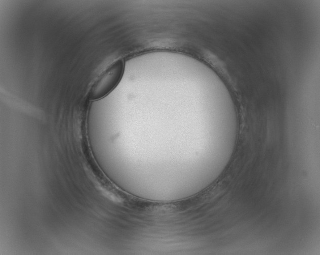 X0000054390106200508270044