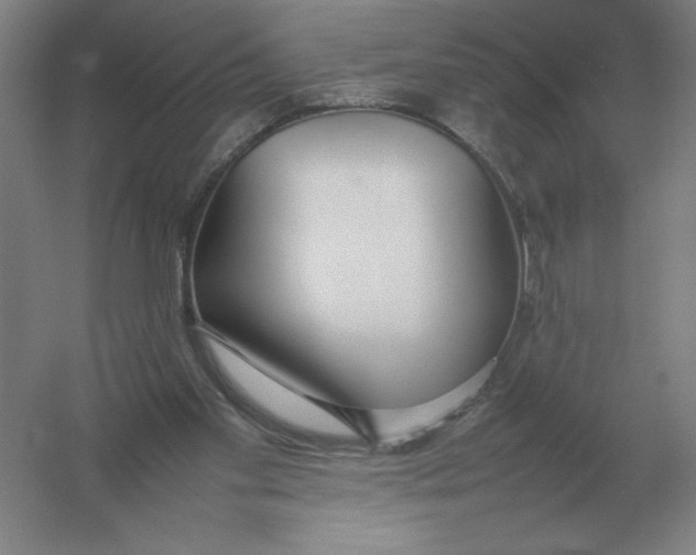 X0000054390109200508270044