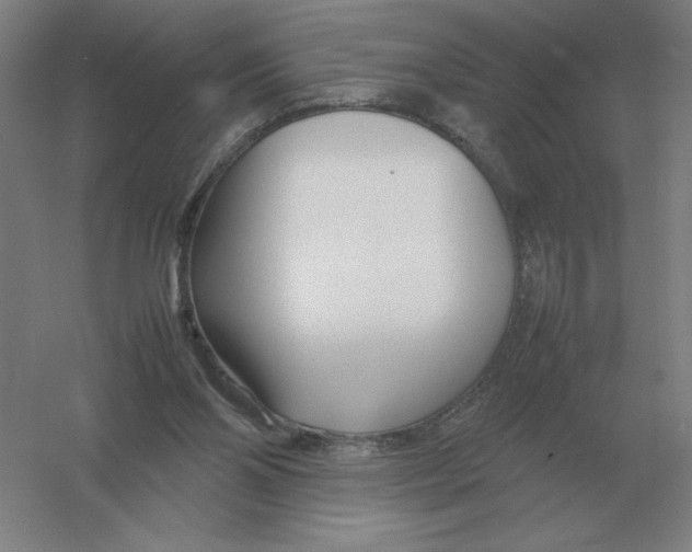 X0000054390110200508270044