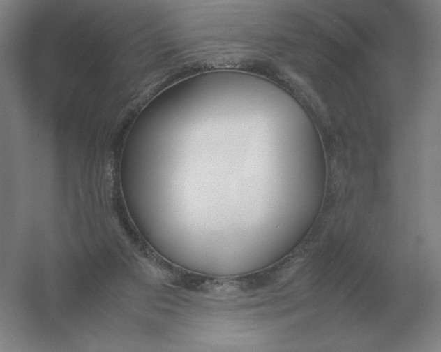 X0000054390113200508270044
