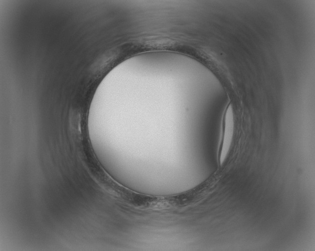 X0000054390115200508270044