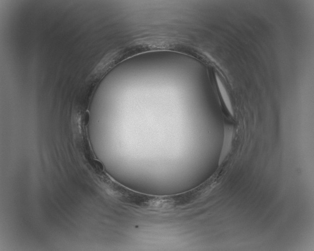 X0000054390117200508270044