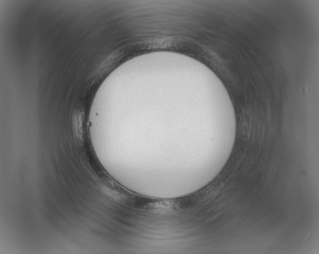 X0000054390118200508270044