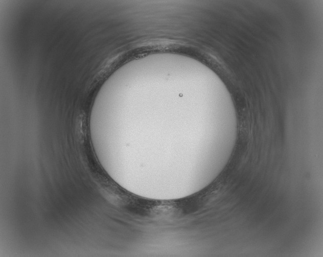 X0000054390119200508270044