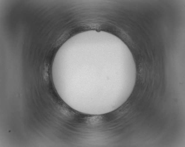 X0000054390122200508270044