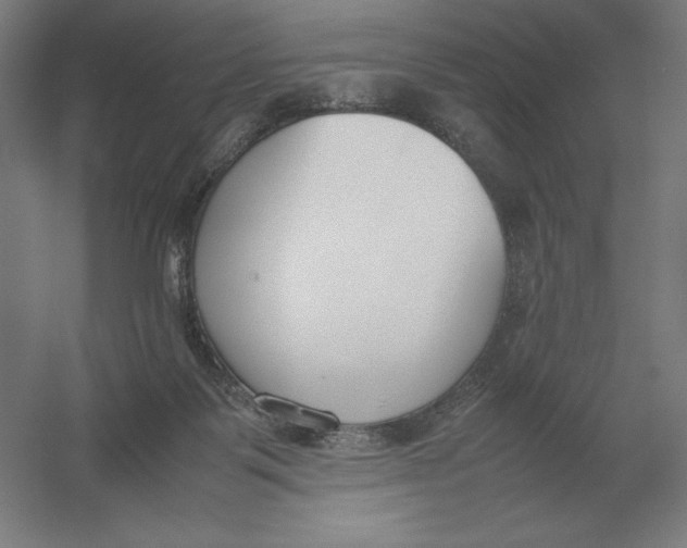 X0000054390123200508270044