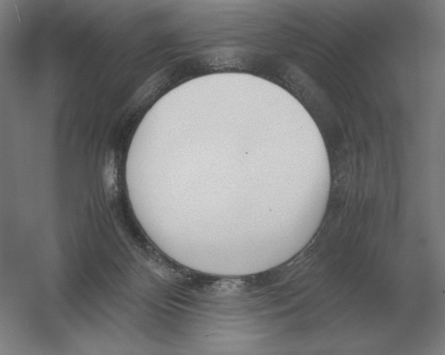 X0000054390124200508270044