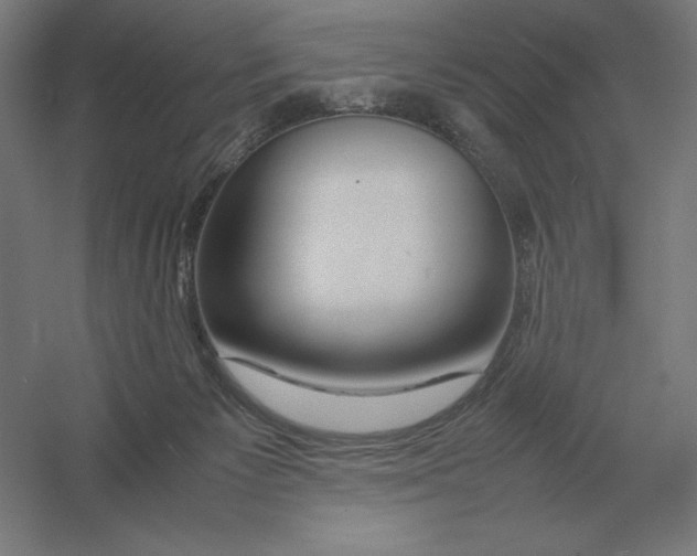 X0000054390125200508270044