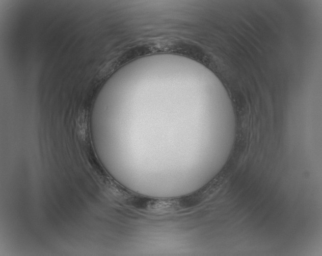 X0000054390129200508270044