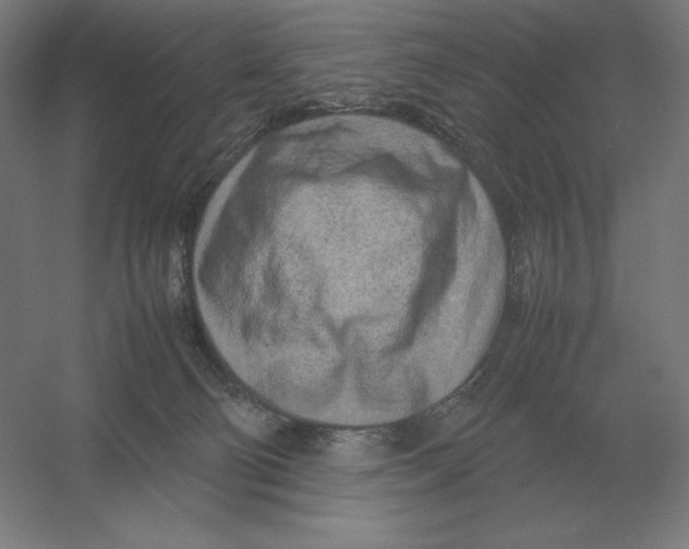 X0000054390130200508270044