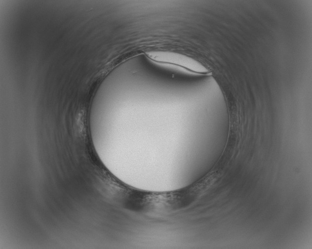 X0000054390131200508270044