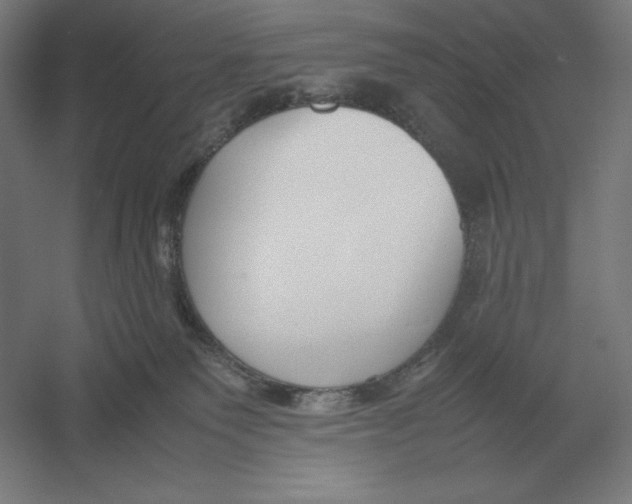 X0000054390135200508270044