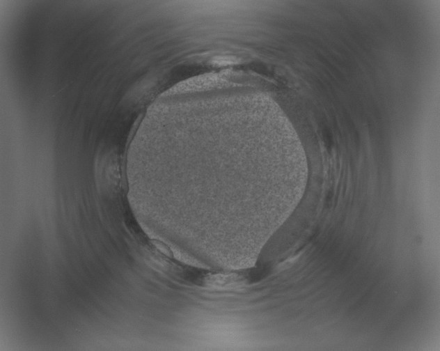 X0000054390137200508270044