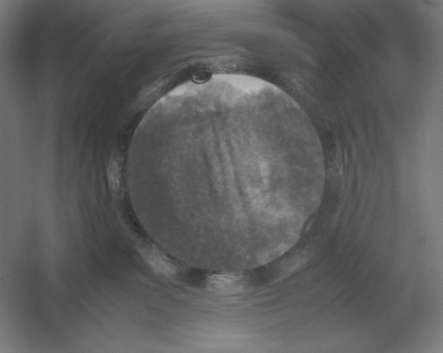 X0000054390139200508270044