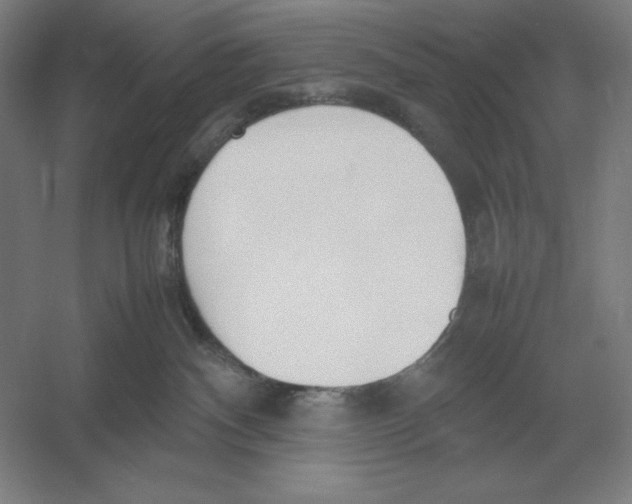 X0000054390140200508270044