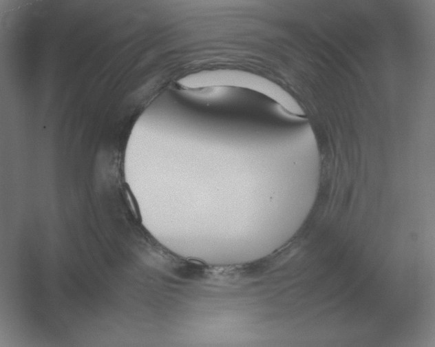 X0000054390141200508270044