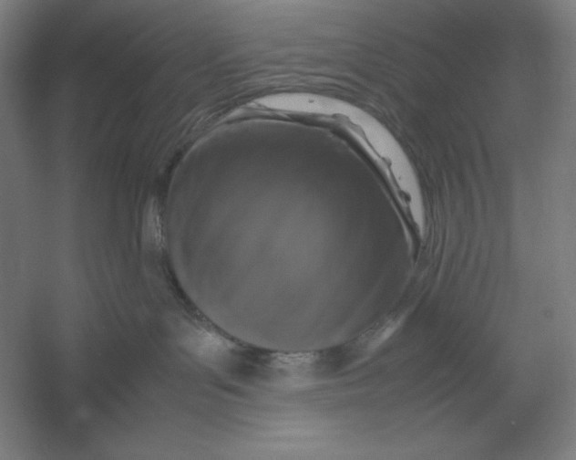 X0000054390143200508270044