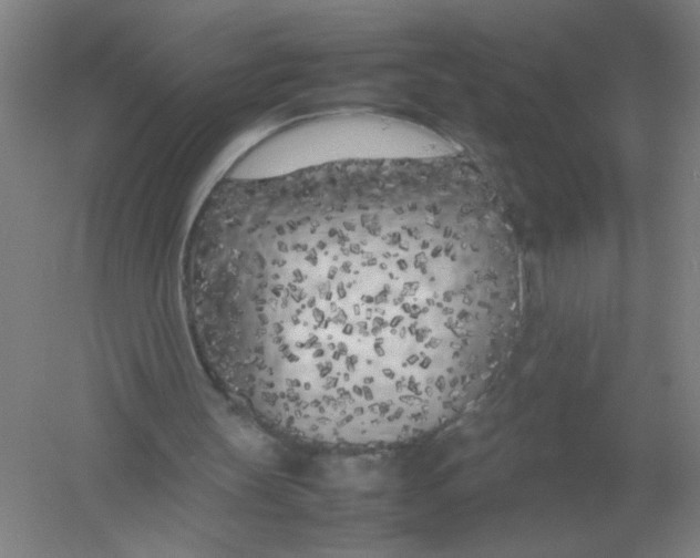 X0000054390147200508270043