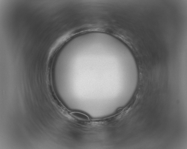 X0000054390149200508270043