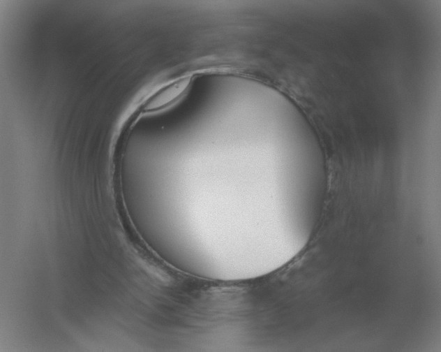 X0000054390150200508270043
