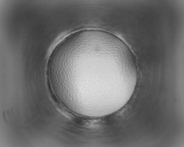 X0000054390151200508270043