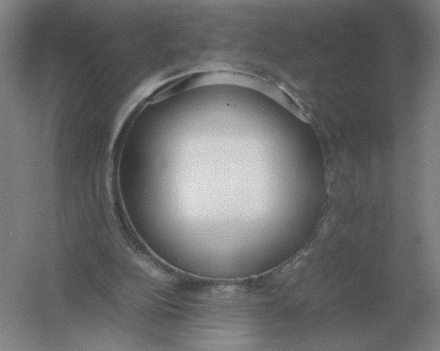 X0000054390152200508270043