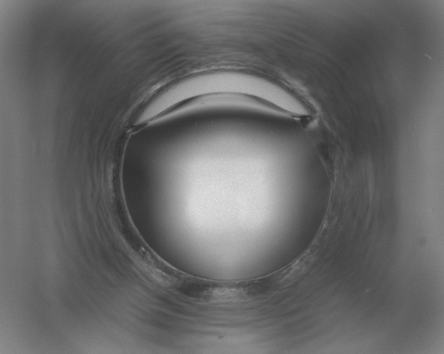 X0000054390154200508270043