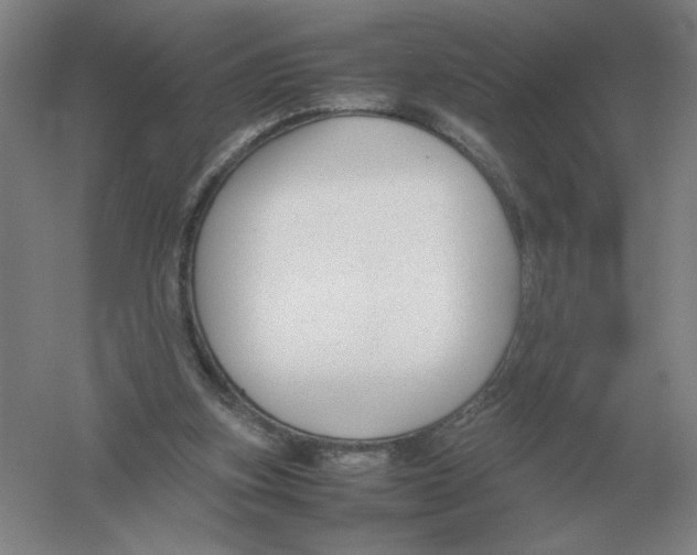 X0000054390155200508270043
