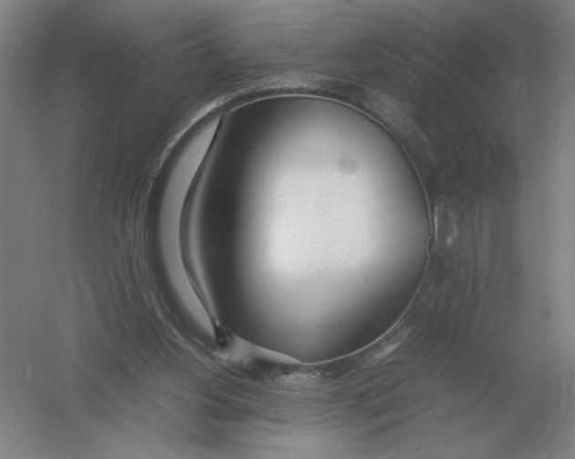 X0000054390156200508270043