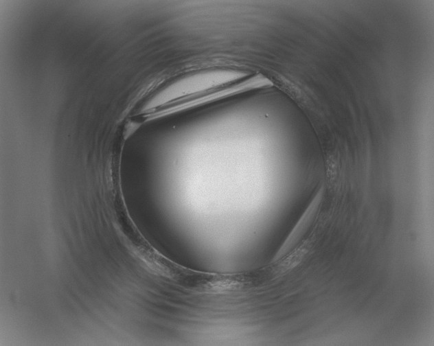 X0000054390158200508270043