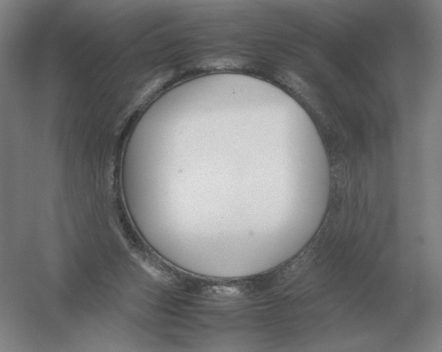 X0000054390159200508270043